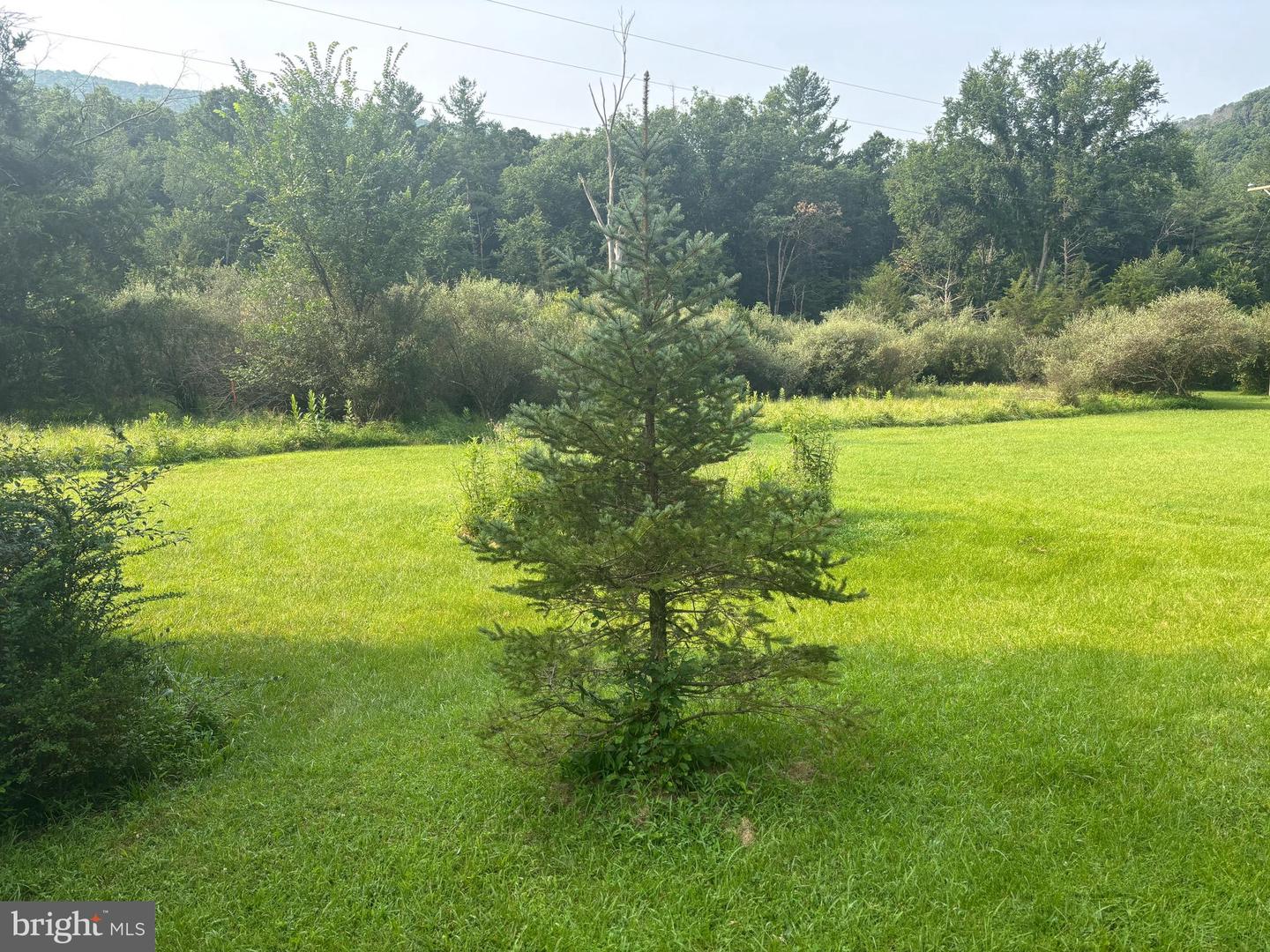 937 Wildlife Dr Property Photo 6