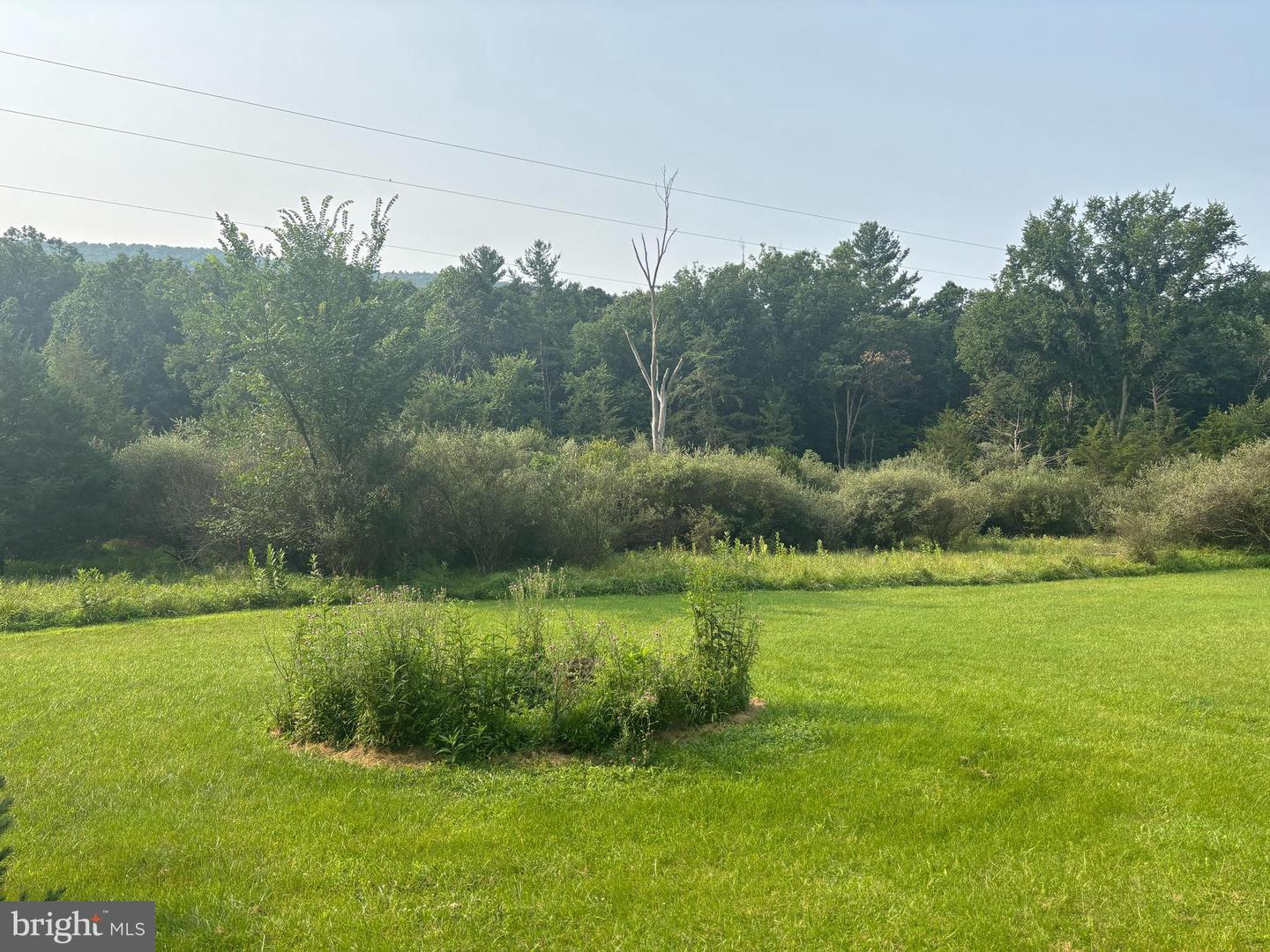 937 Wildlife Dr Property Photo 7