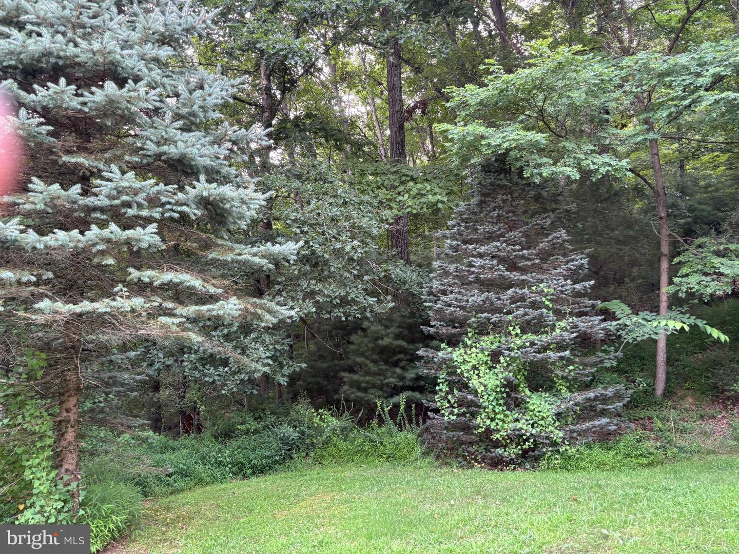 937 Wildlife Dr Property Photo 8