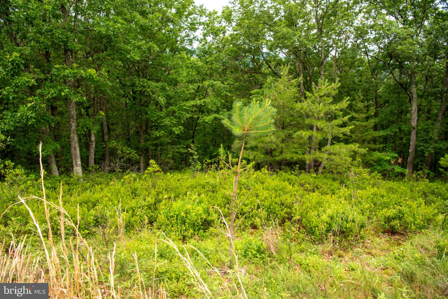 459 Kodiak Ct Property Photo 111