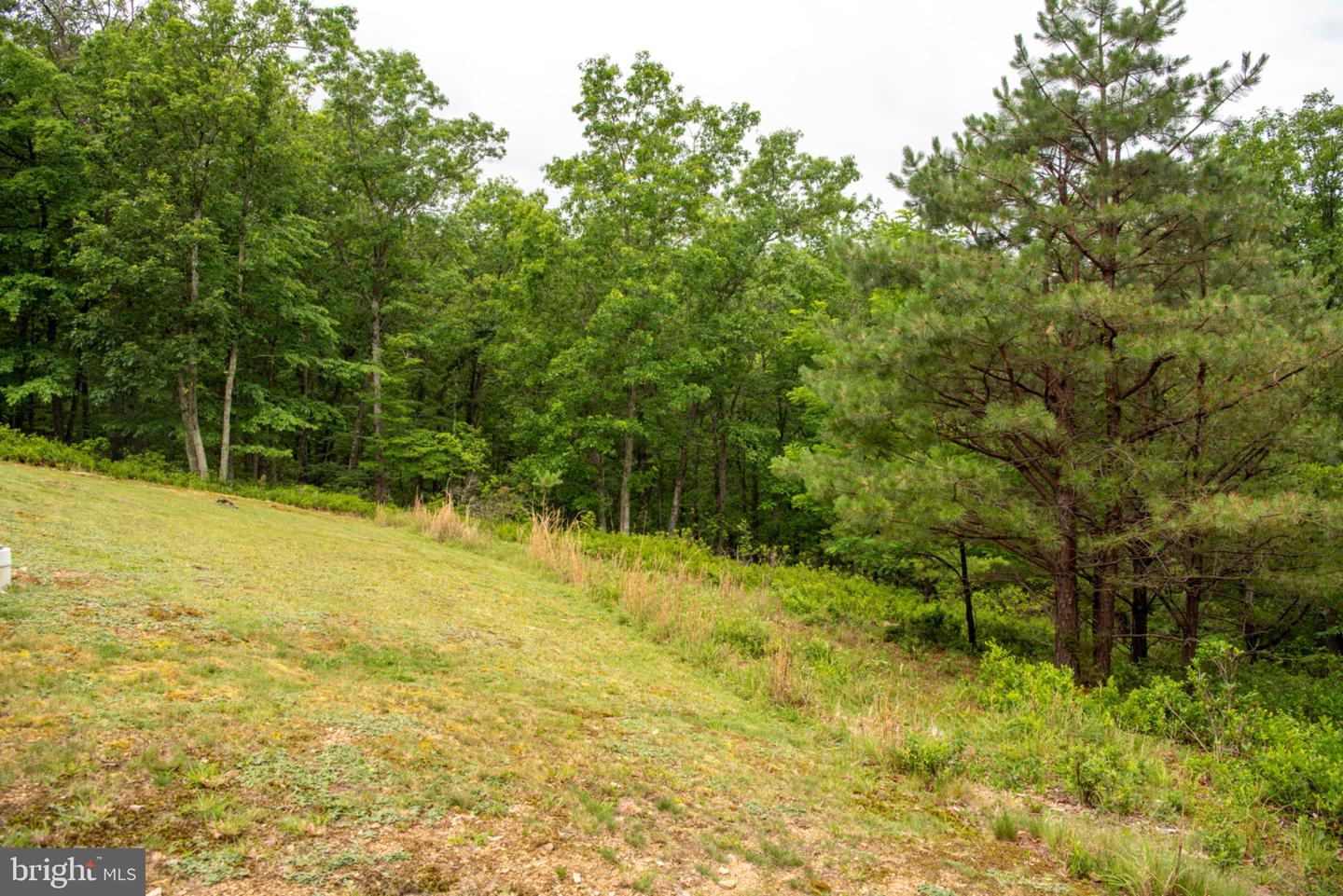 459 Kodiak Ct Property Photo 112