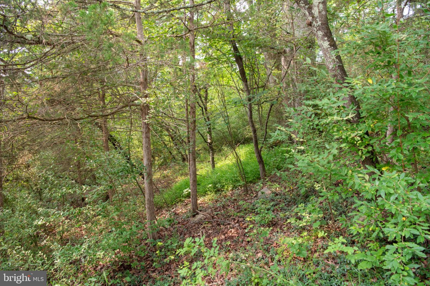 78 Valley View Rd Property Photo 56