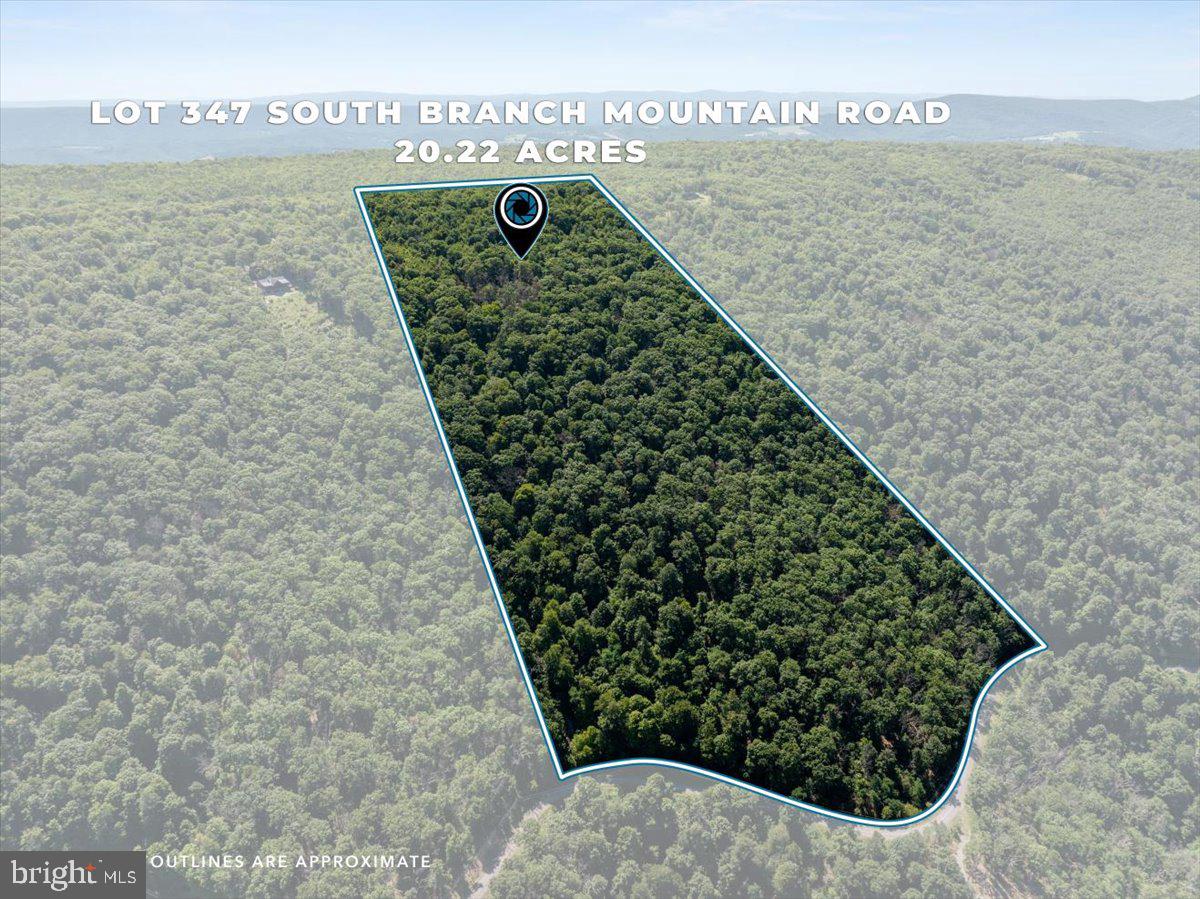 Lot 347 South Branch Mountain Property Photo 1