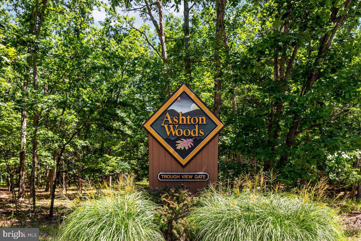 Lot 347 South Branch Mountain Property Photo 2
