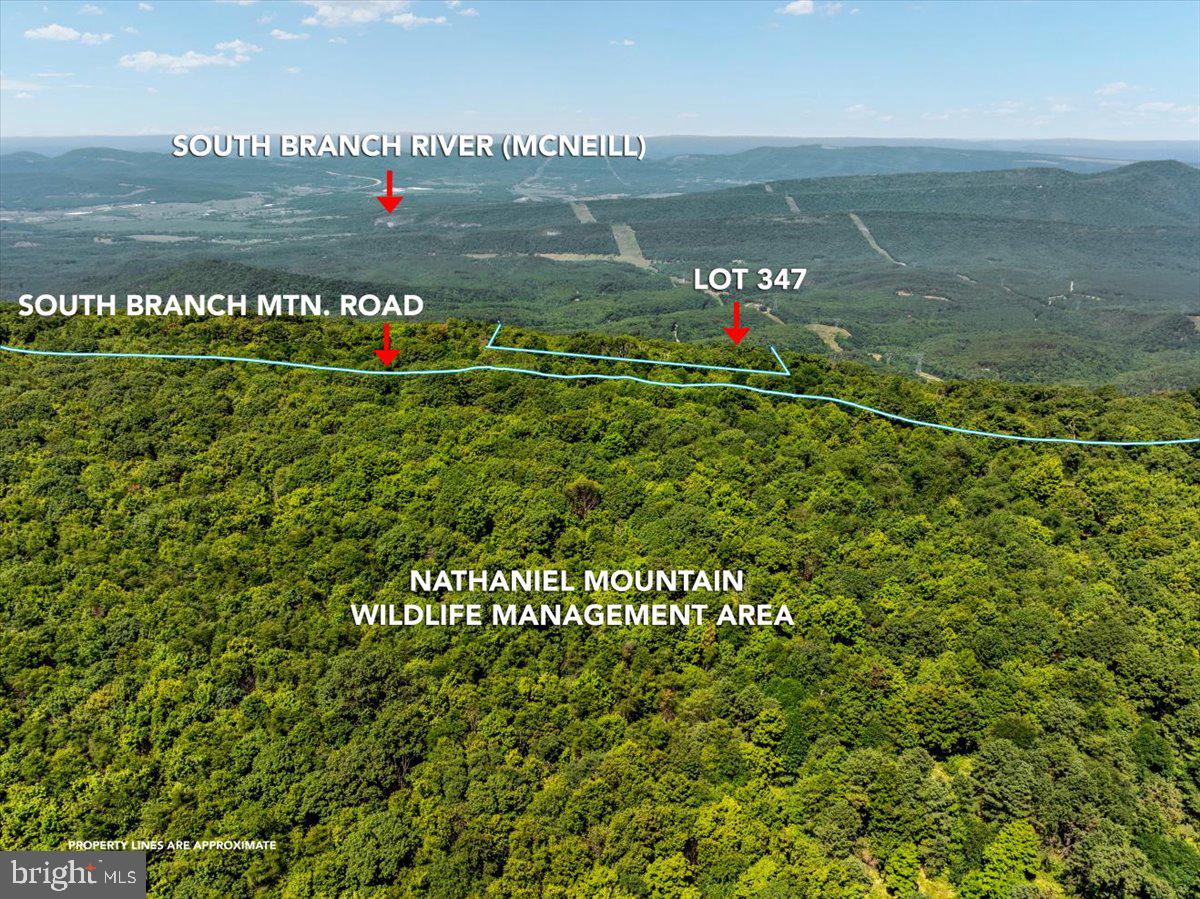 Lot 347 South Branch Mountain Property Photo 4