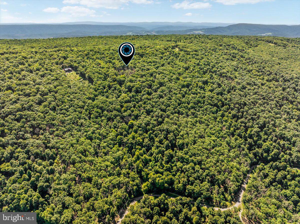 Lot 347 South Branch Mountain Property Photo 5