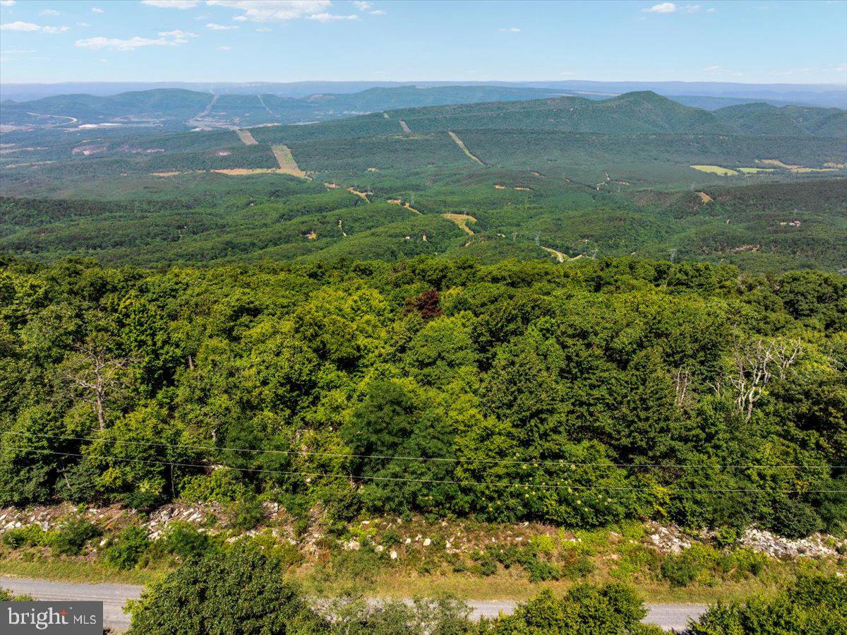 Lot 347 South Branch Mountain Property Photo 6