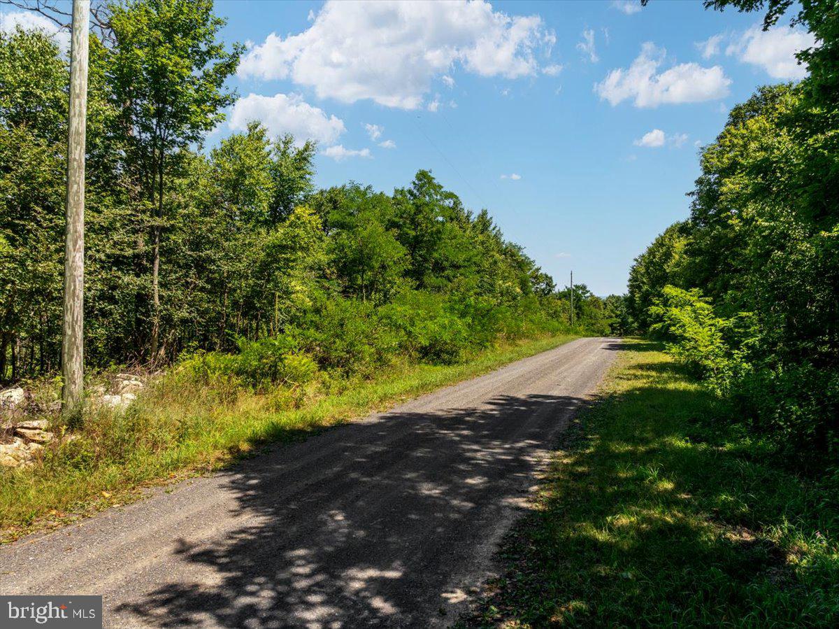 Lot 347 South Branch Mountain Property Photo 7