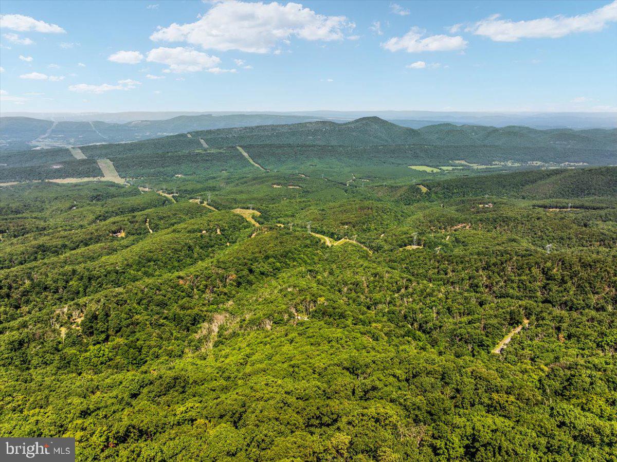 Lot 347 South Branch Mountain Property Photo 9