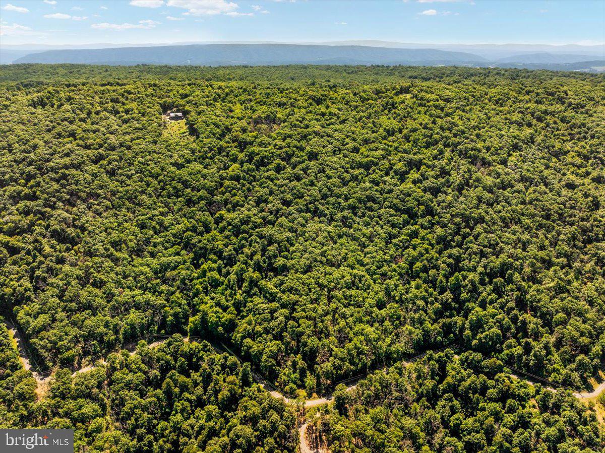 Lot 347 South Branch Mountain Property Photo 10