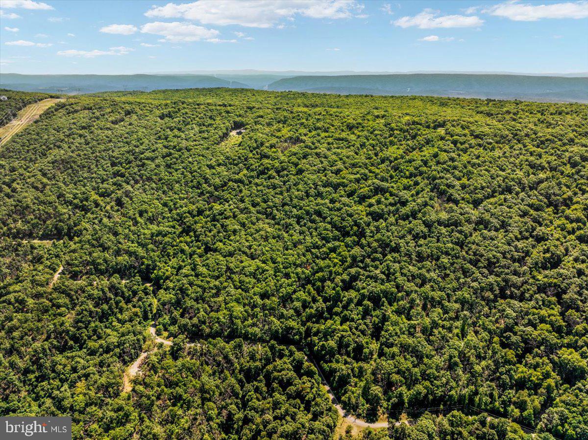 Lot 347 South Branch Mountain Property Photo 11