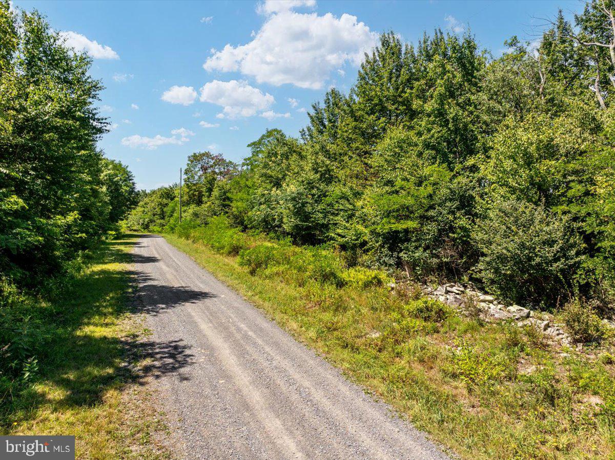 Lot 347 South Branch Mountain Property Photo 15