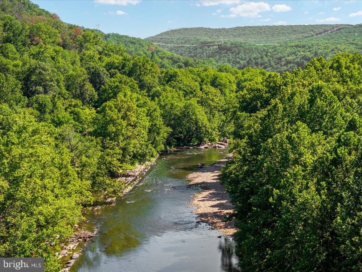 Lot 347 South Branch Mountain Property Photo 18