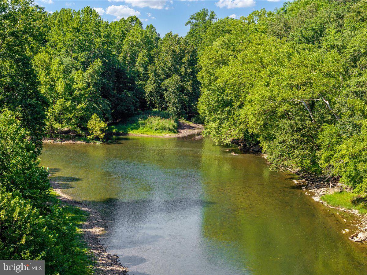 Lot 347 South Branch Mountain Property Photo 19