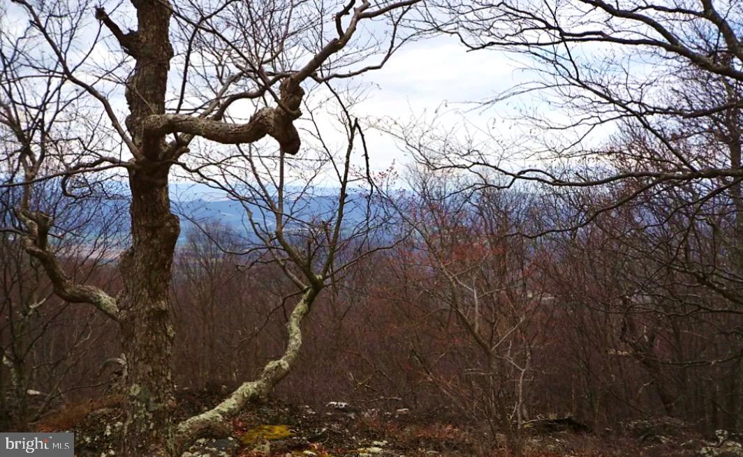 Lot 347 South Branch Mountain Property Photo 22