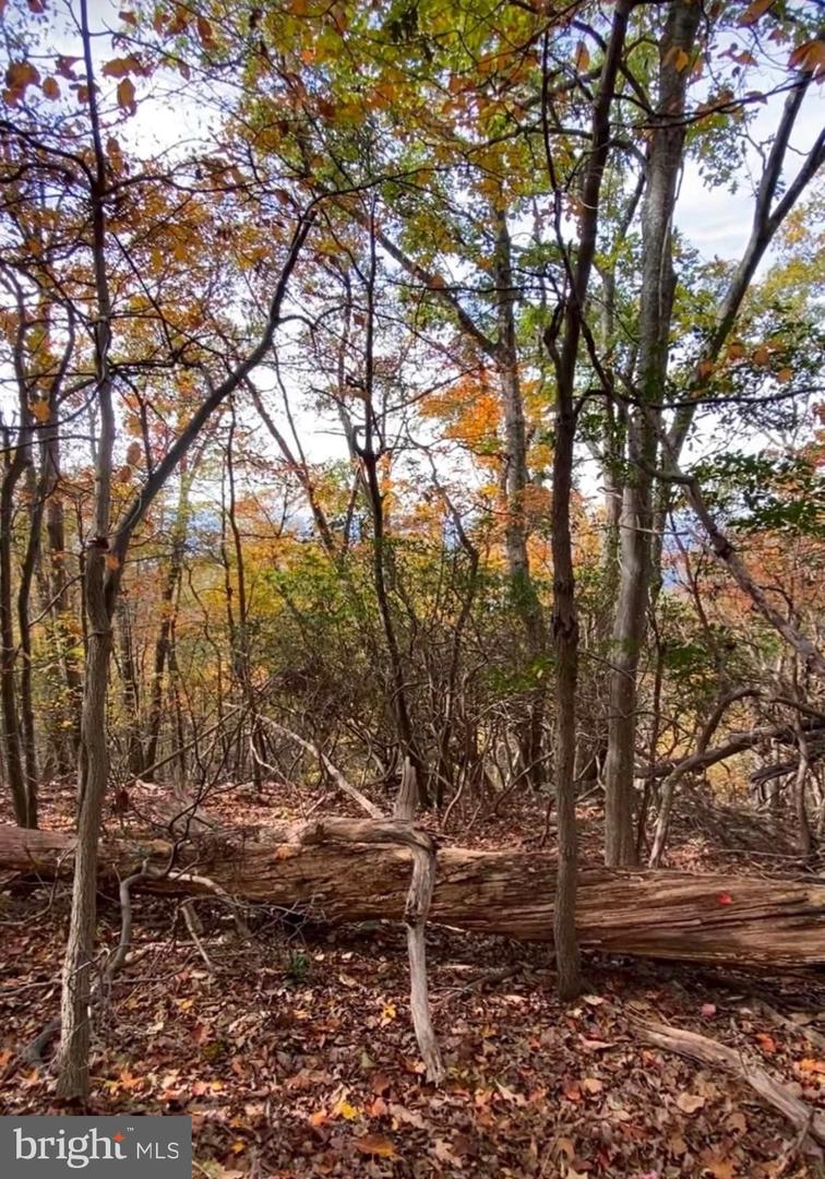 Lot 347 South Branch Mountain Property Photo 23