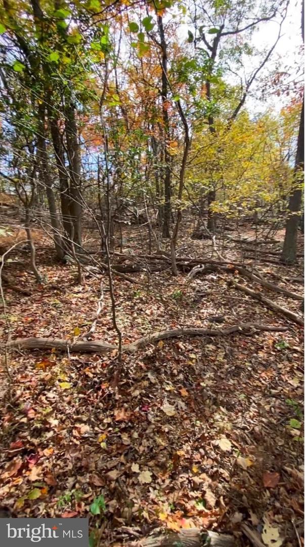 Lot 347 South Branch Mountain Property Photo 25