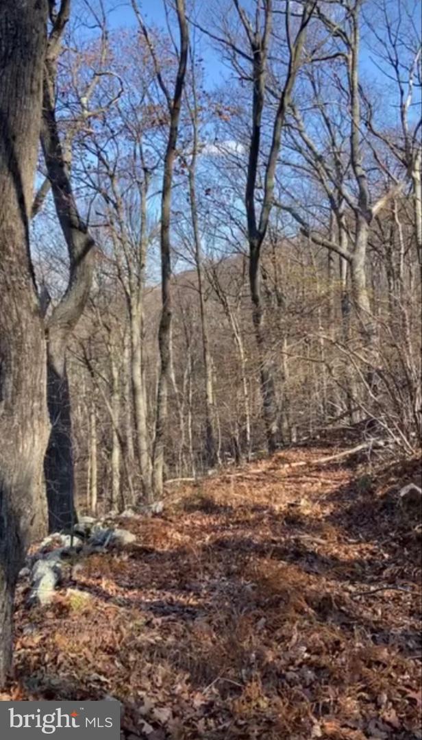 Lot 347 South Branch Mountain Property Photo 26