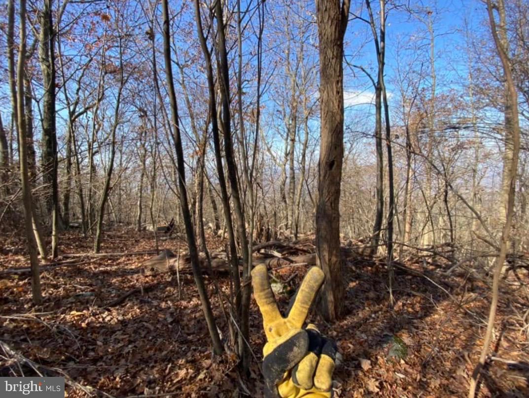 Lot 347 South Branch Mountain Property Photo 28