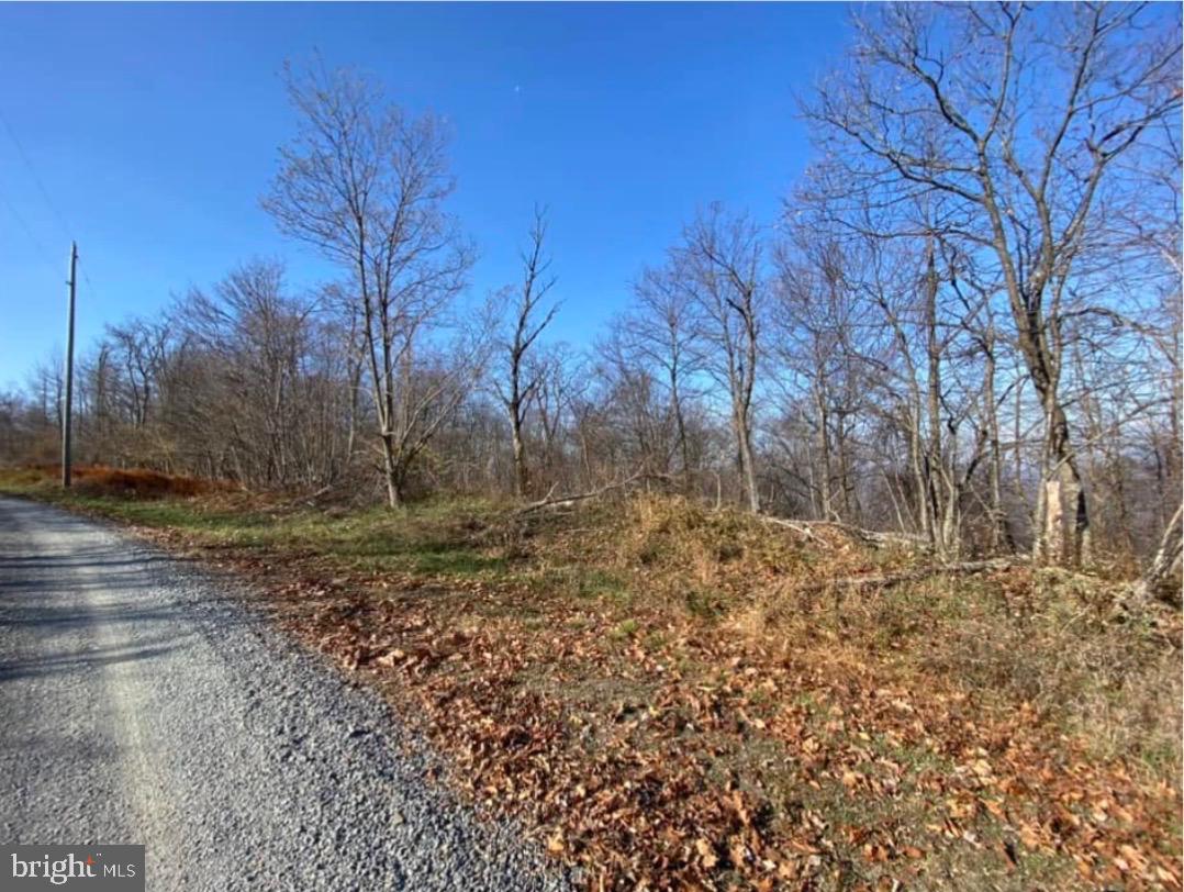 Lot 347 South Branch Mountain Property Photo 32