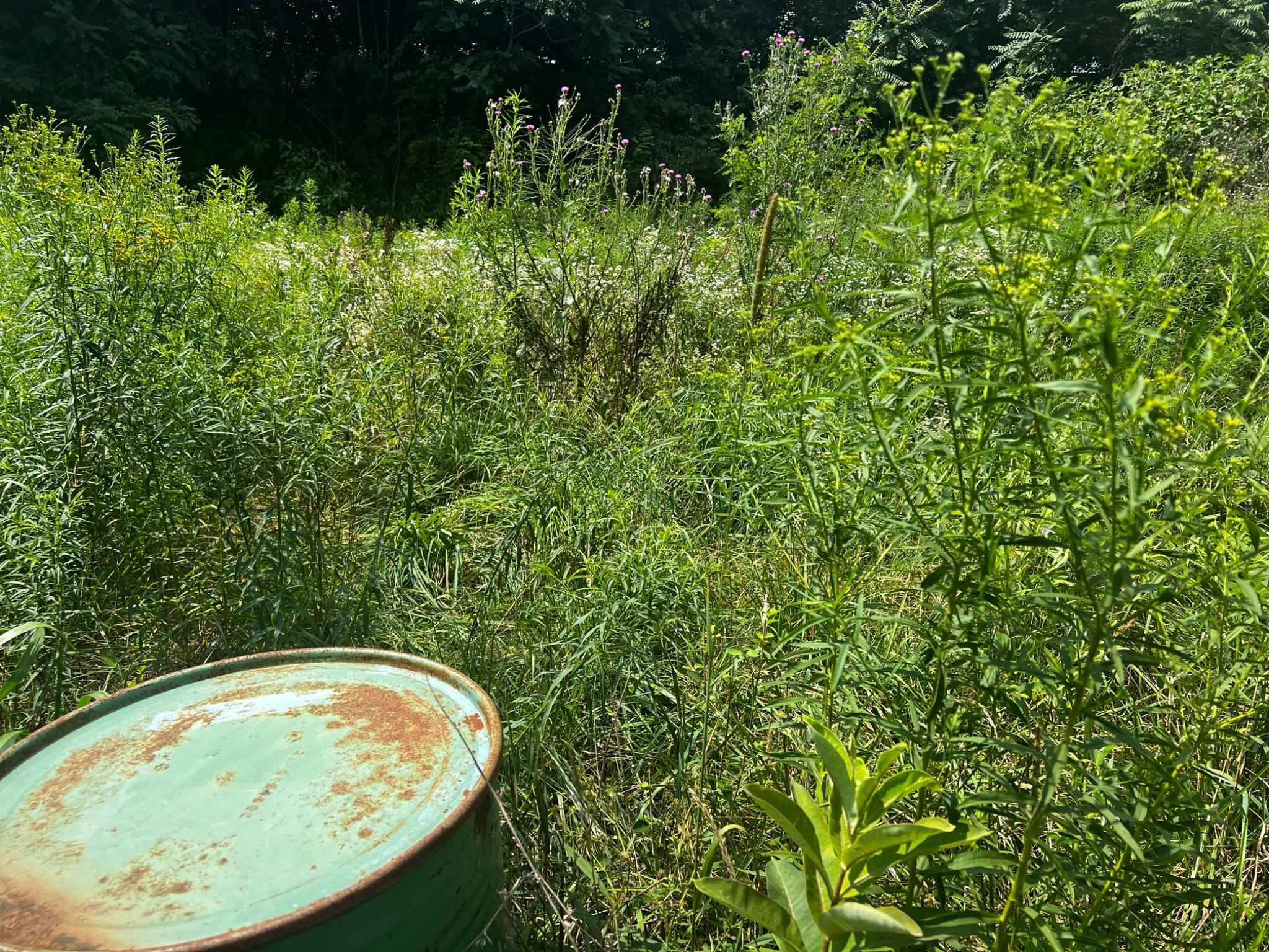 2971 Dispanet Rd Property Photo 37