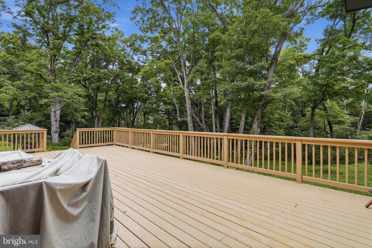 1087 Timberline Dr Property Photo 64