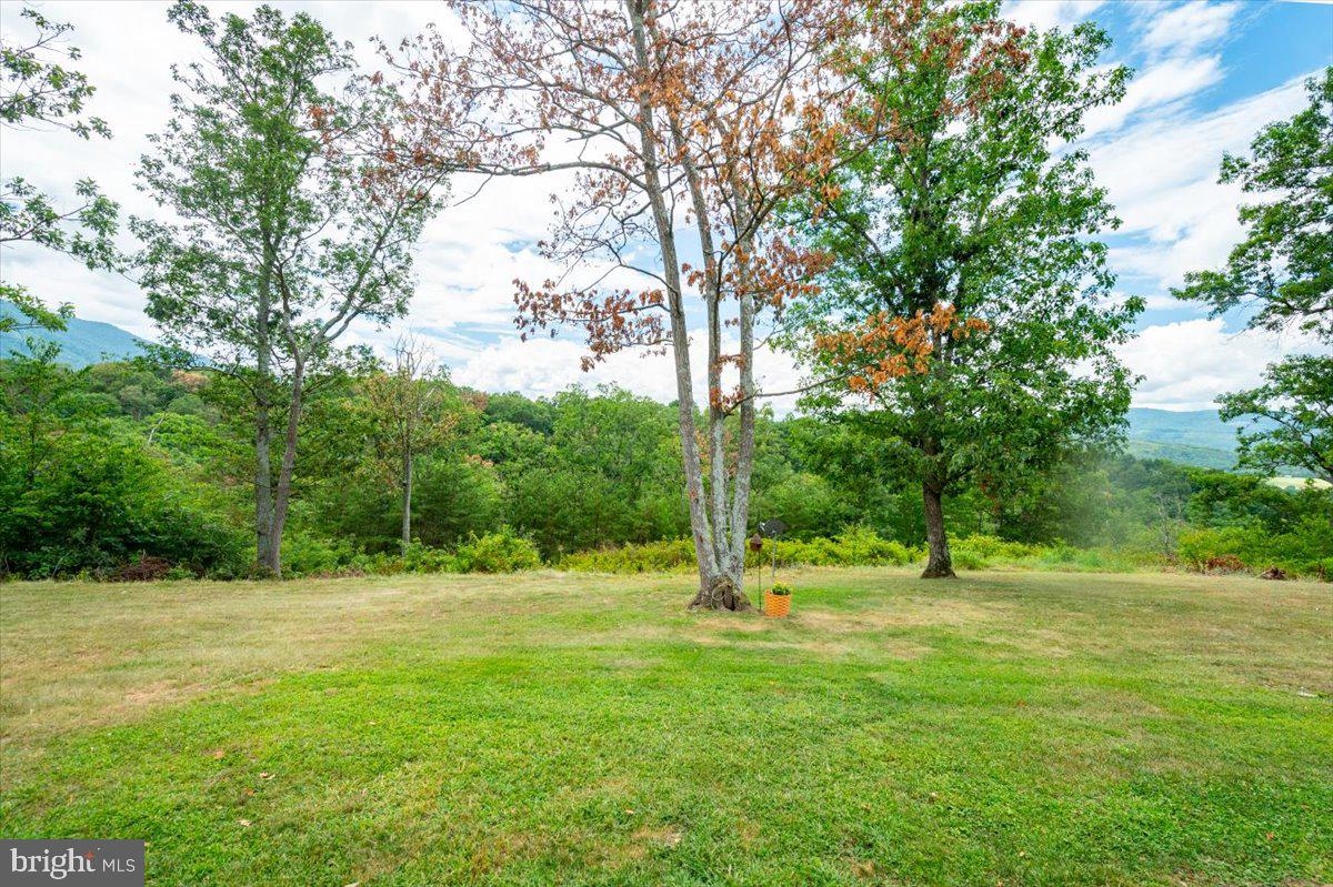 714 Forest Glen Dr Property Photo 87