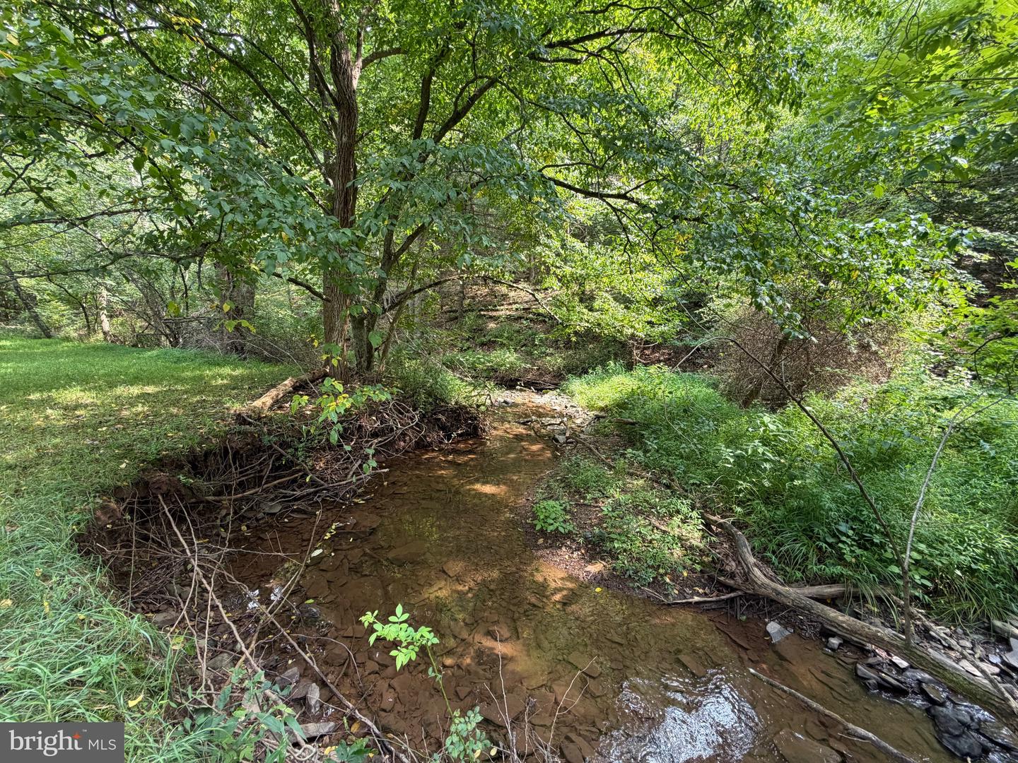 3.12 Ac Lot 2 Upper Skaggs Run Rd Property Photo 1