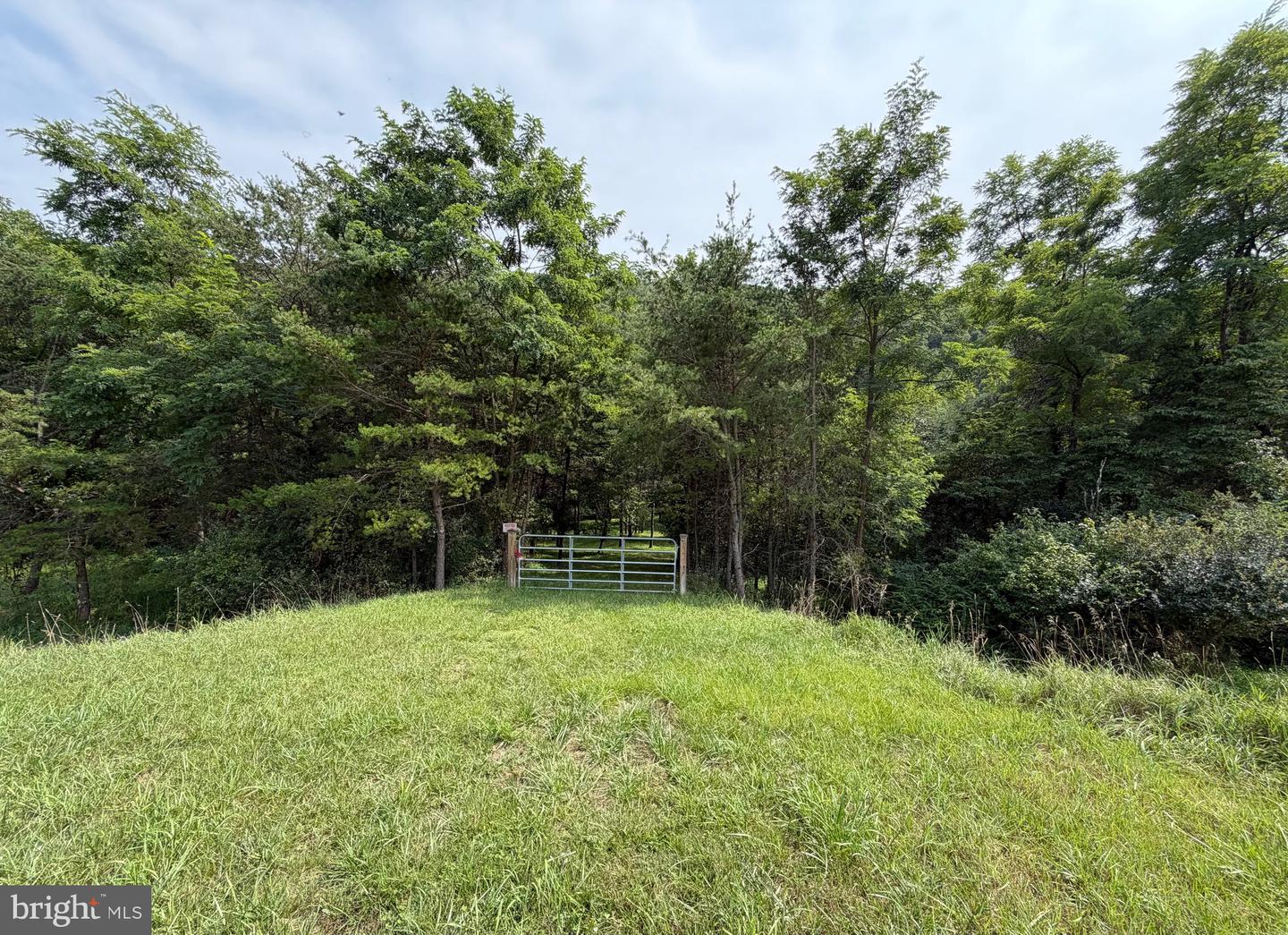 3.12 Ac Lot 2 Upper Skaggs Run Rd Property Photo 2