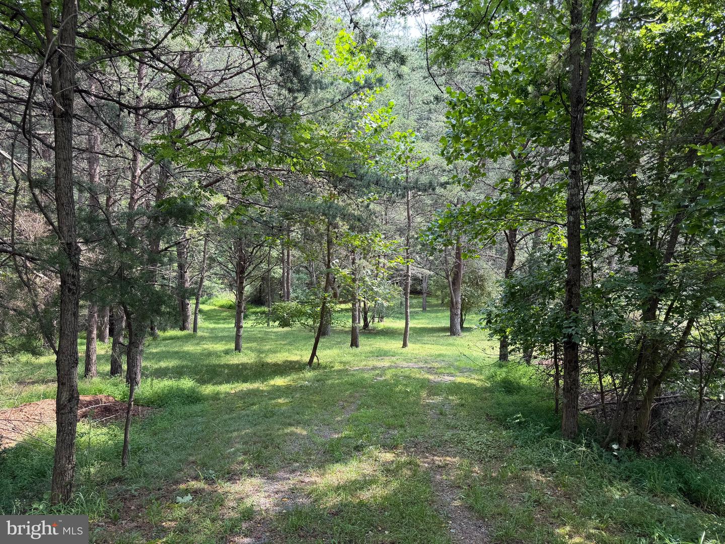 3.12 Ac Lot 2 Upper Skaggs Run Rd Property Photo 3