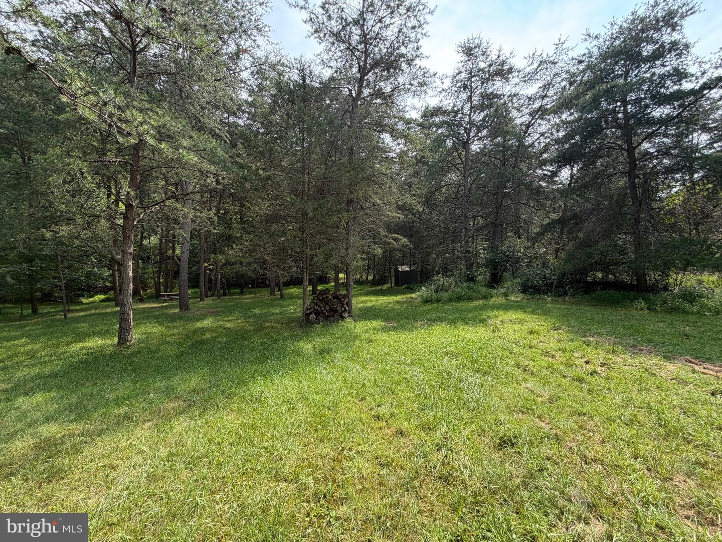 3.12 Ac Lot 2 Upper Skaggs Run Rd Property Photo 4