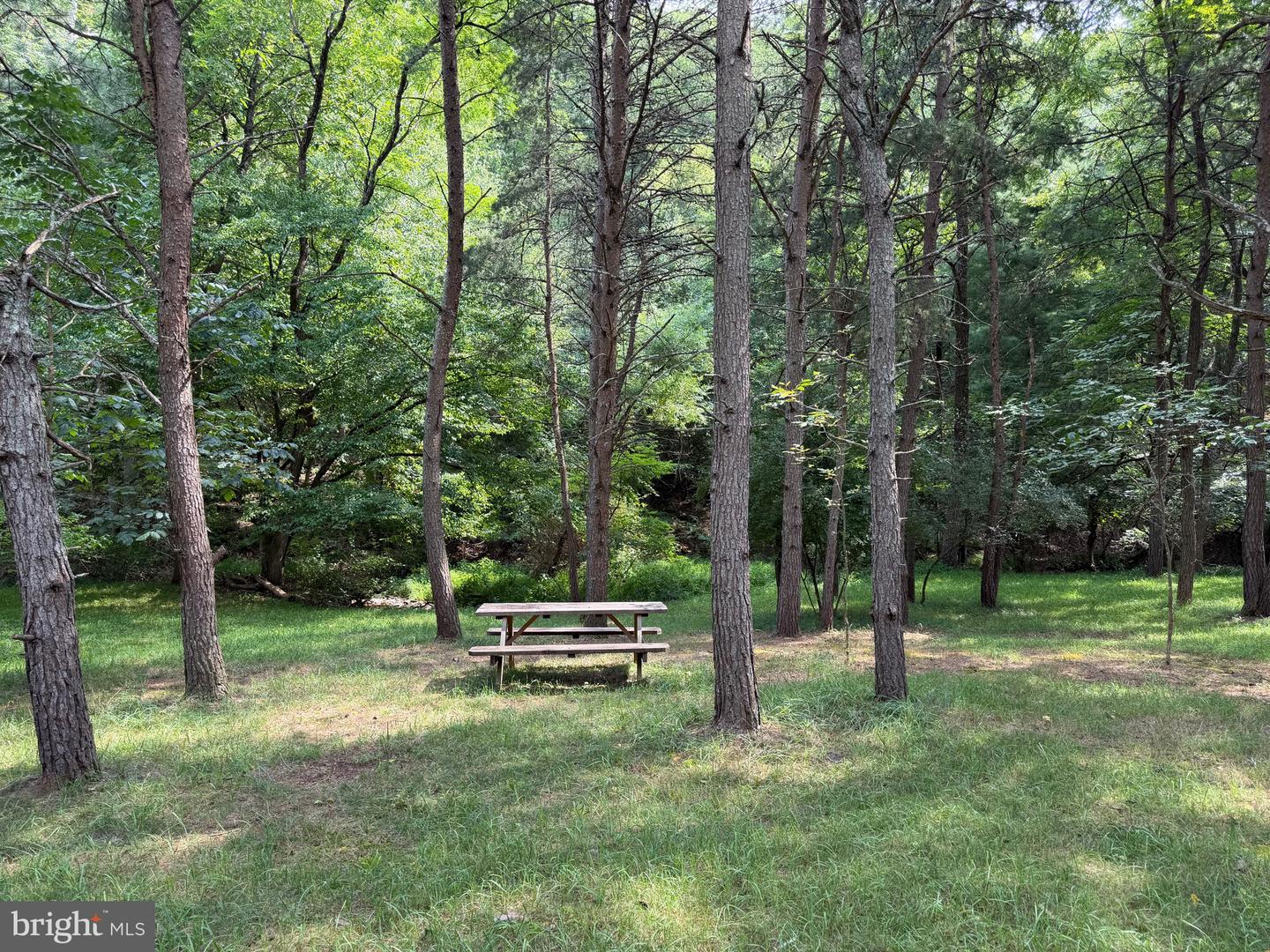 3.12 Ac Lot 2 Upper Skaggs Run Rd Property Photo 5