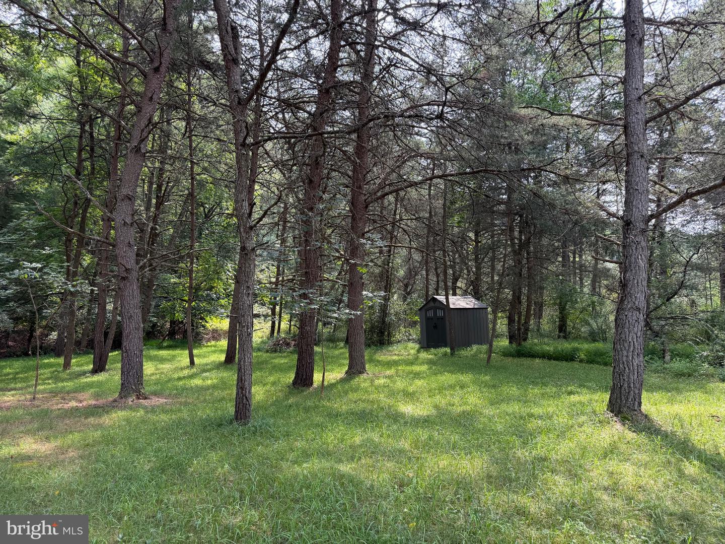 3.12 Ac Lot 2 Upper Skaggs Run Rd Property Photo 6