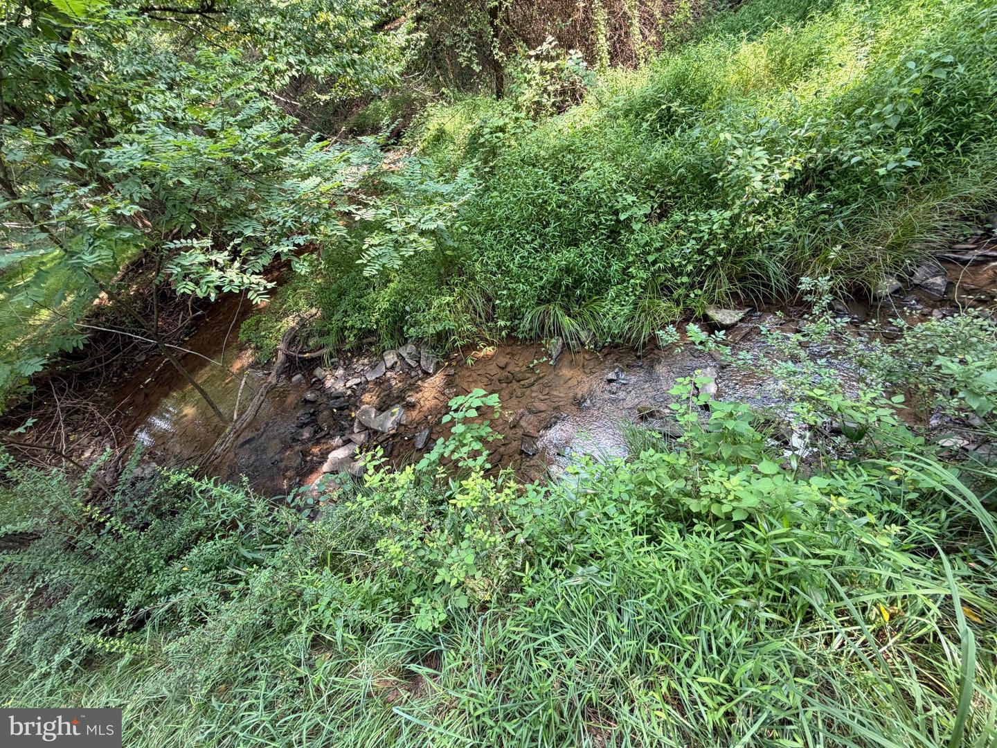 3.12 Ac Lot 2 Upper Skaggs Run Rd Property Photo 7