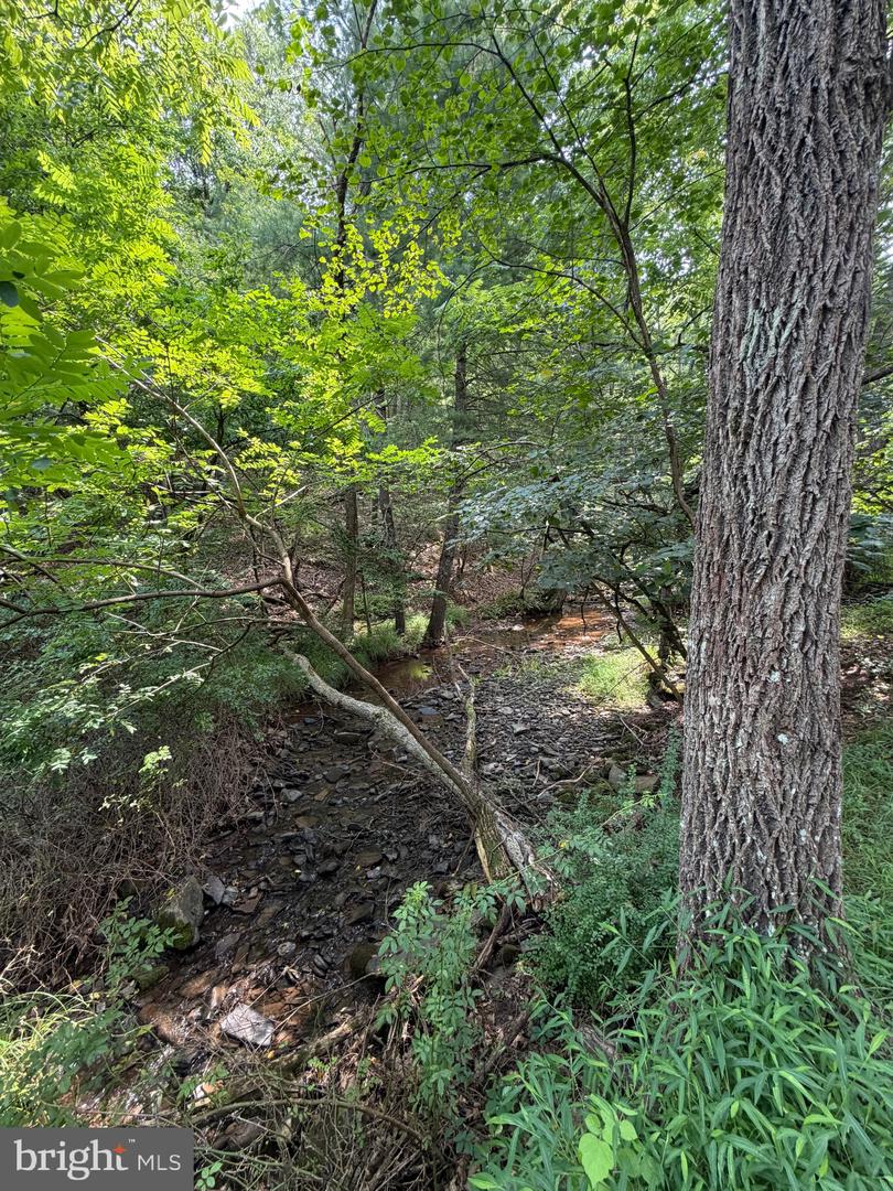 3.12 Ac Lot 2 Upper Skaggs Run Rd Property Photo 8