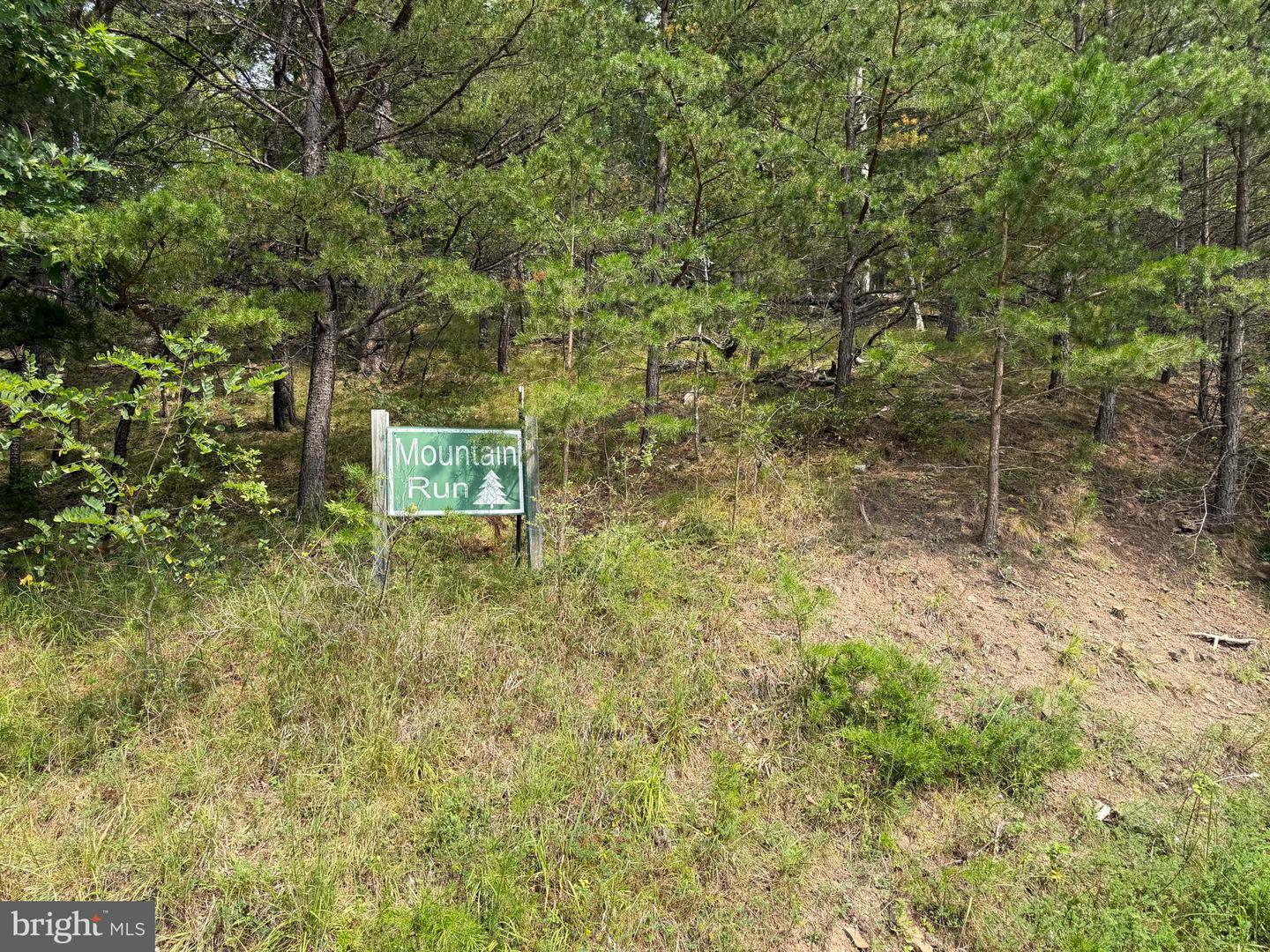 3.12 Ac Lot 2 Upper Skaggs Run Rd Property Photo 9