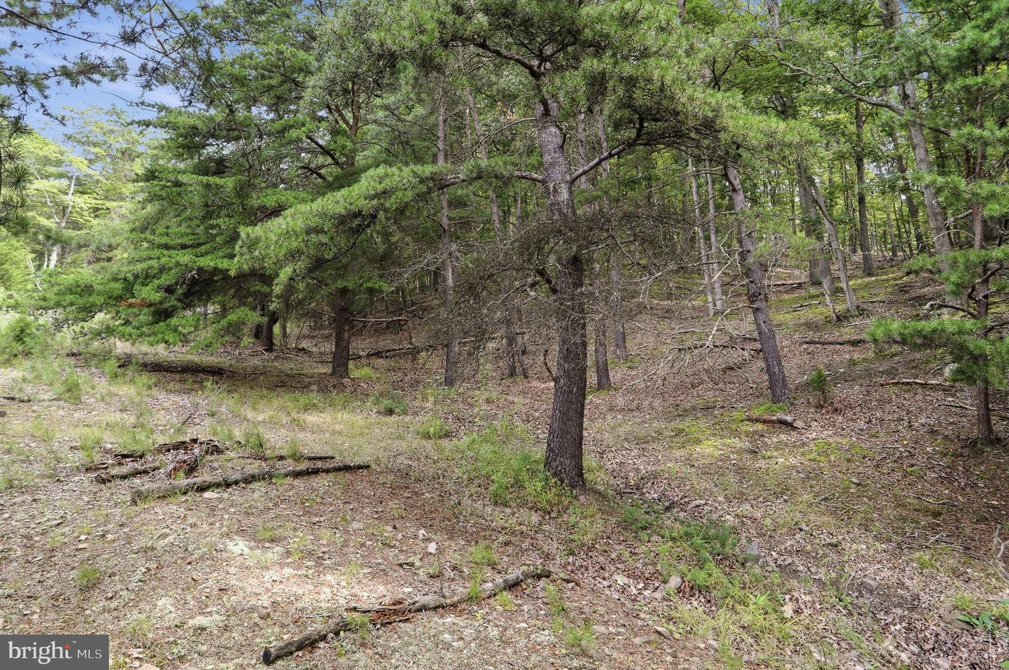 28 Ewing Estates Property Photo 3