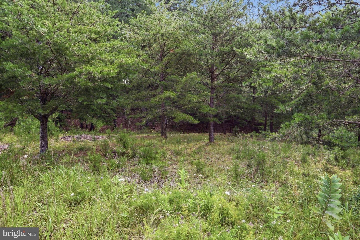 28 Ewing Estates Property Photo 4