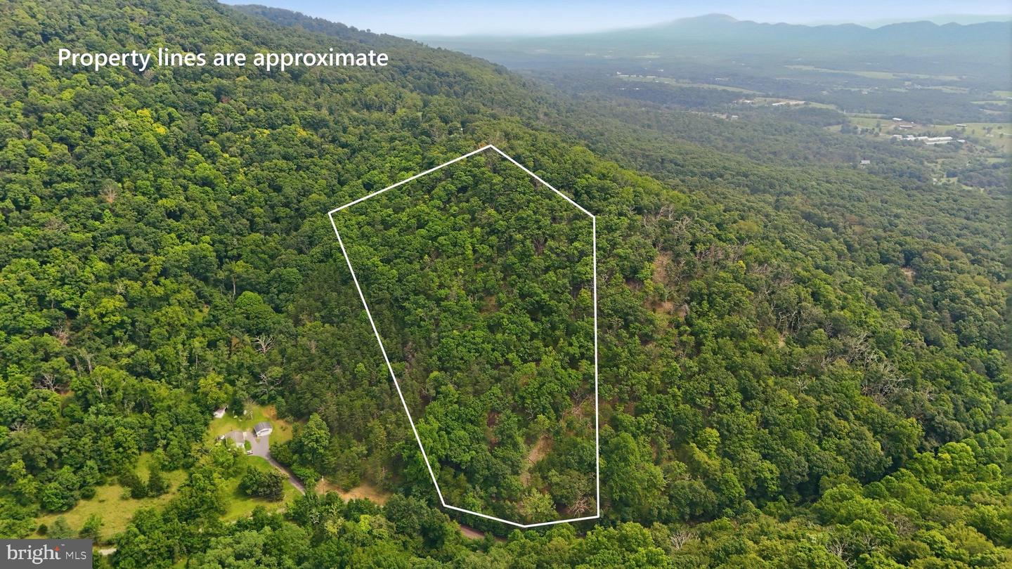 564 Highland Springs Rd Property Photo 2