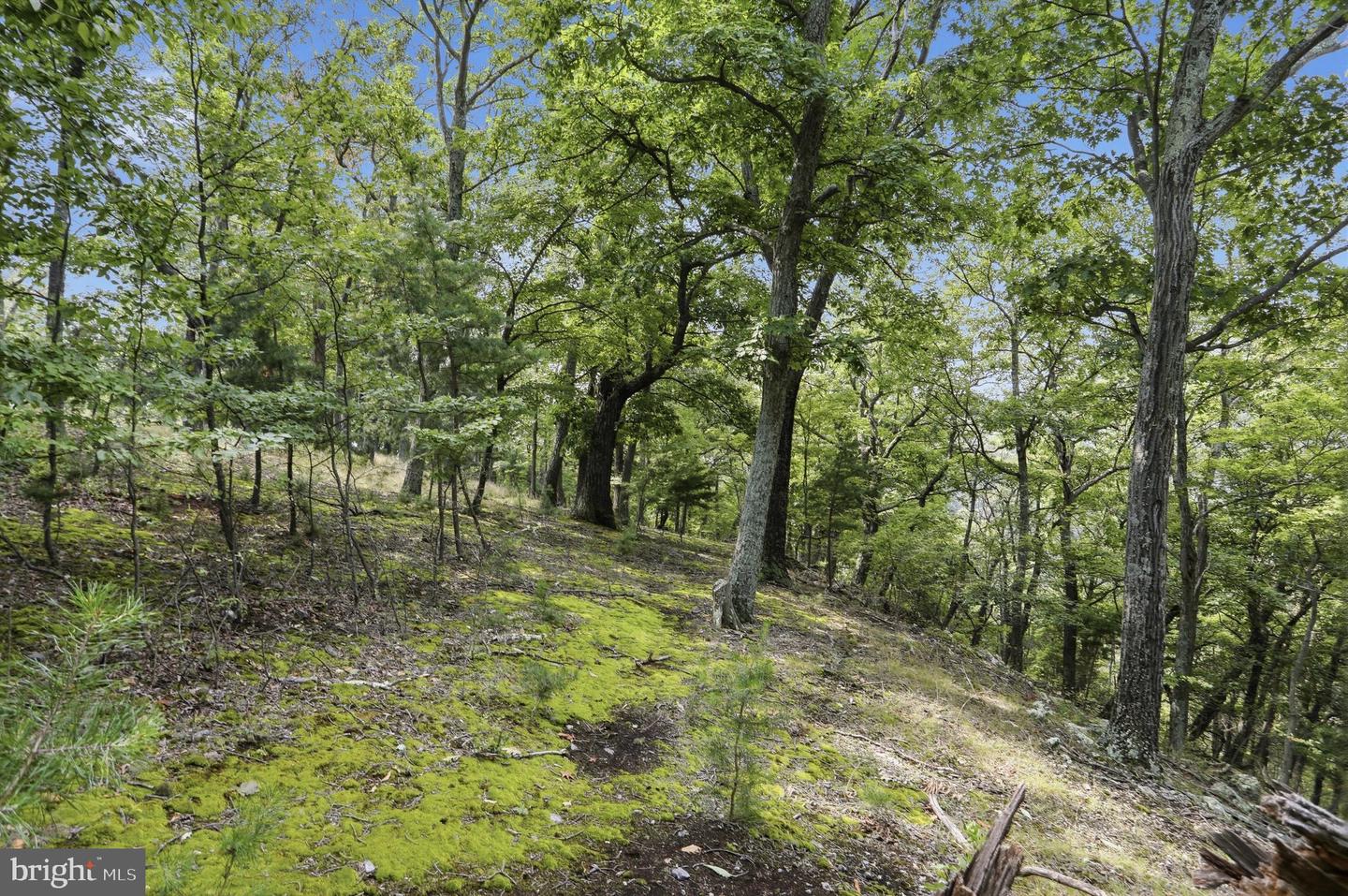 564 Highland Springs Rd Property Photo 8