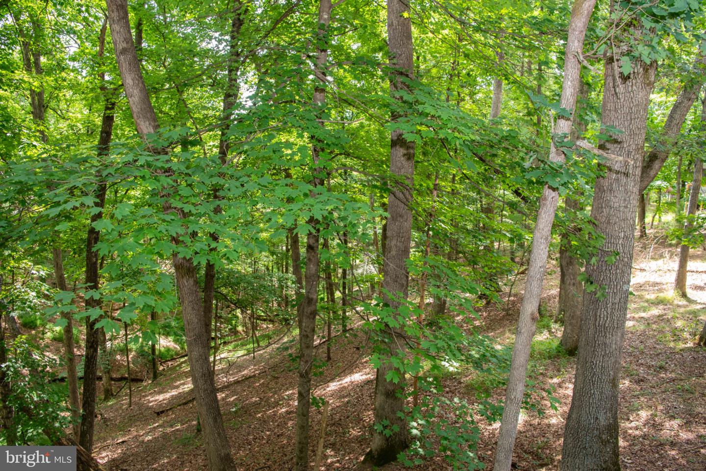 689 Snyders Ridge Rd Property Photo 88