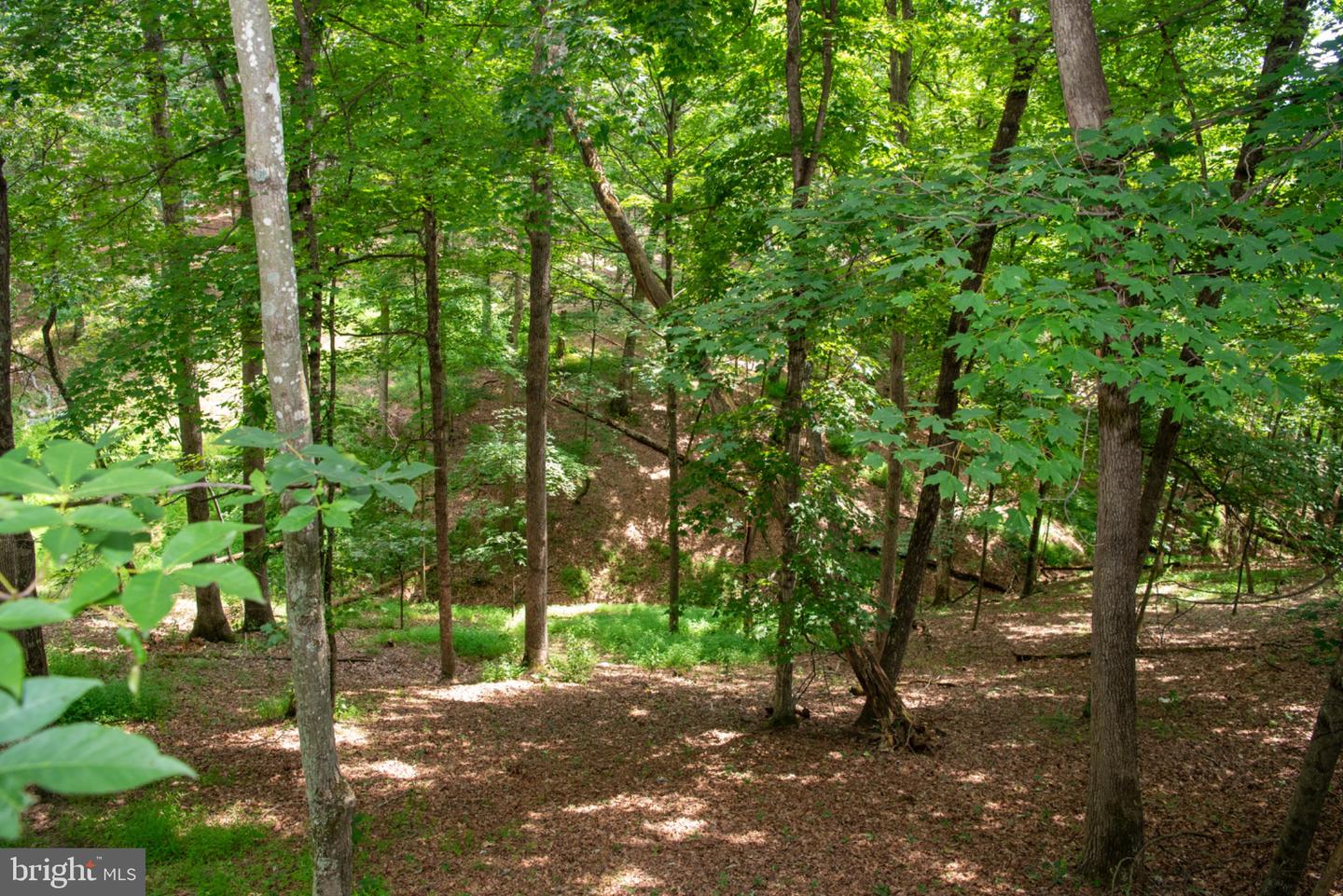 689 Snyders Ridge Rd Property Photo 89