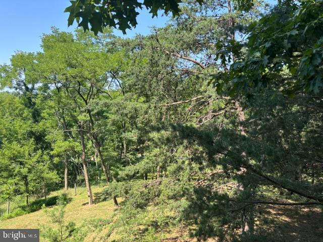 296 Hunting Ridge Rd Property Photo 14