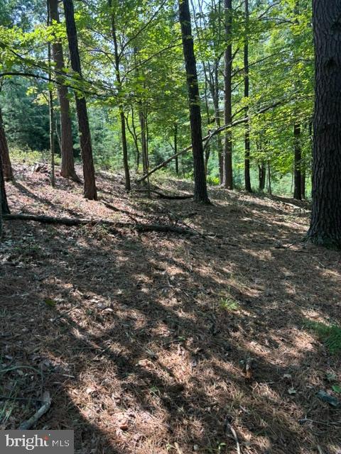 296 Hunting Ridge Rd Property Photo 16