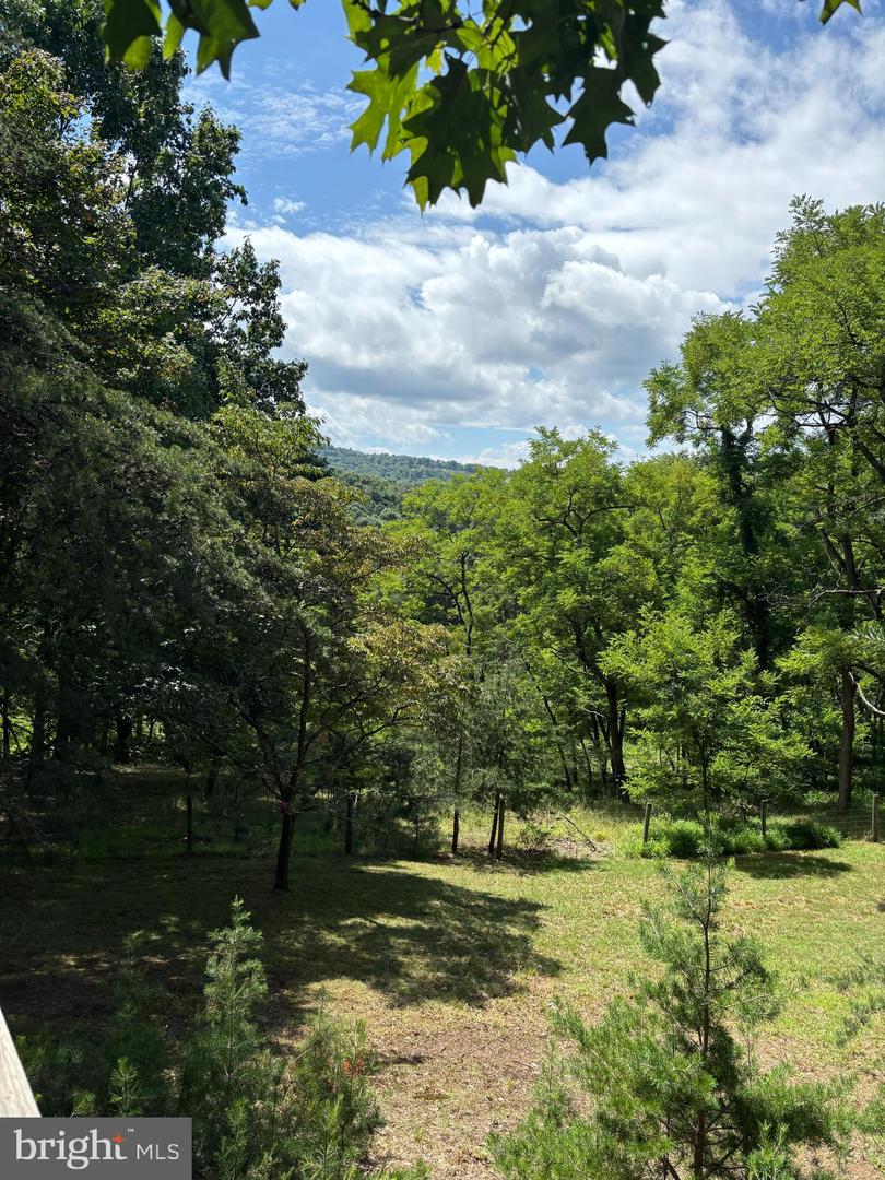 296 Hunting Ridge Rd Property Photo 17