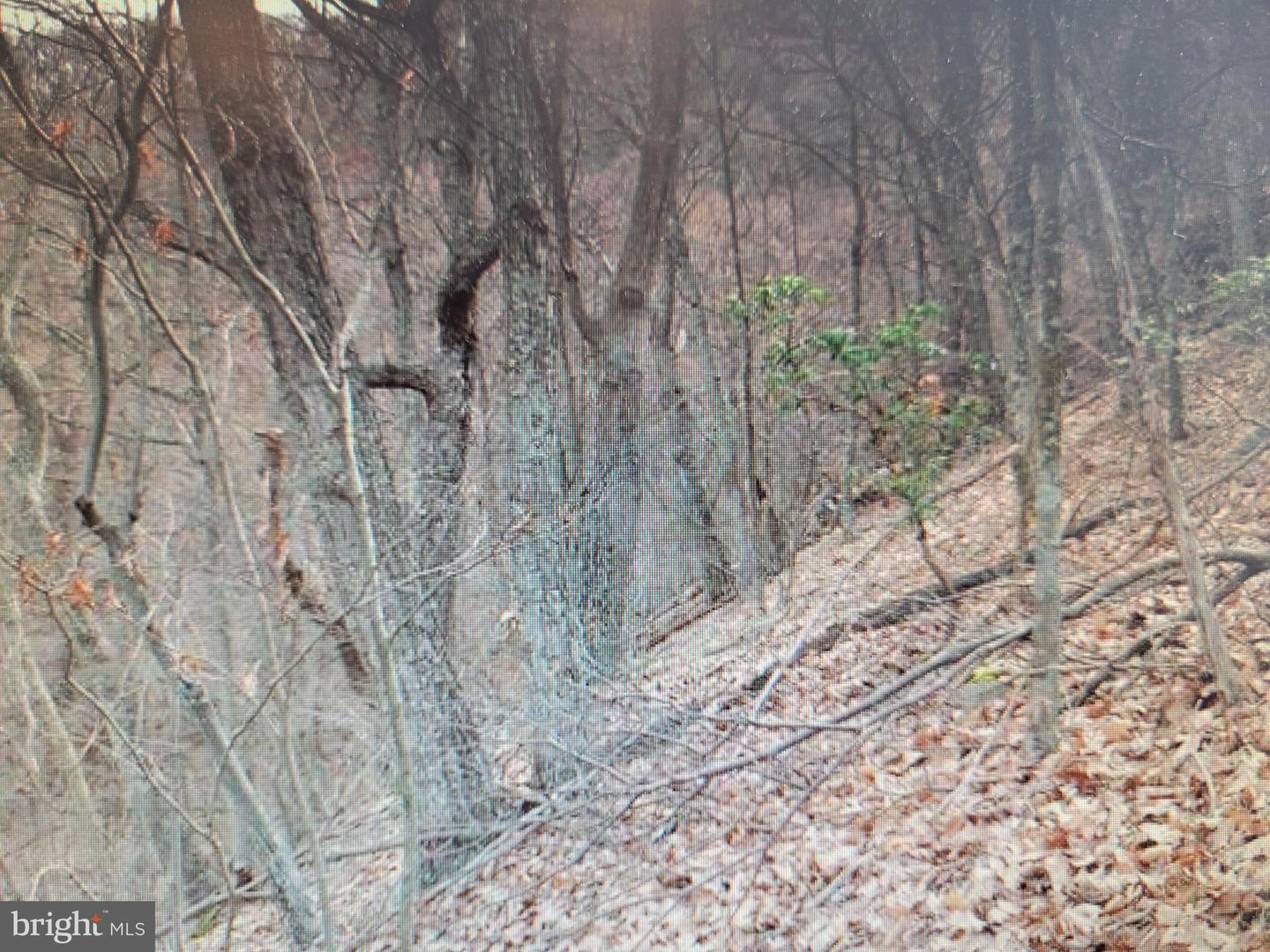 Lot 337 Nathaniel Mt Rd Property Photo 1