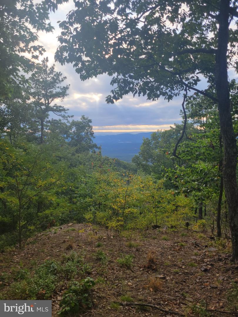 Lot 337 Nathaniel Mt Rd Property Photo 1