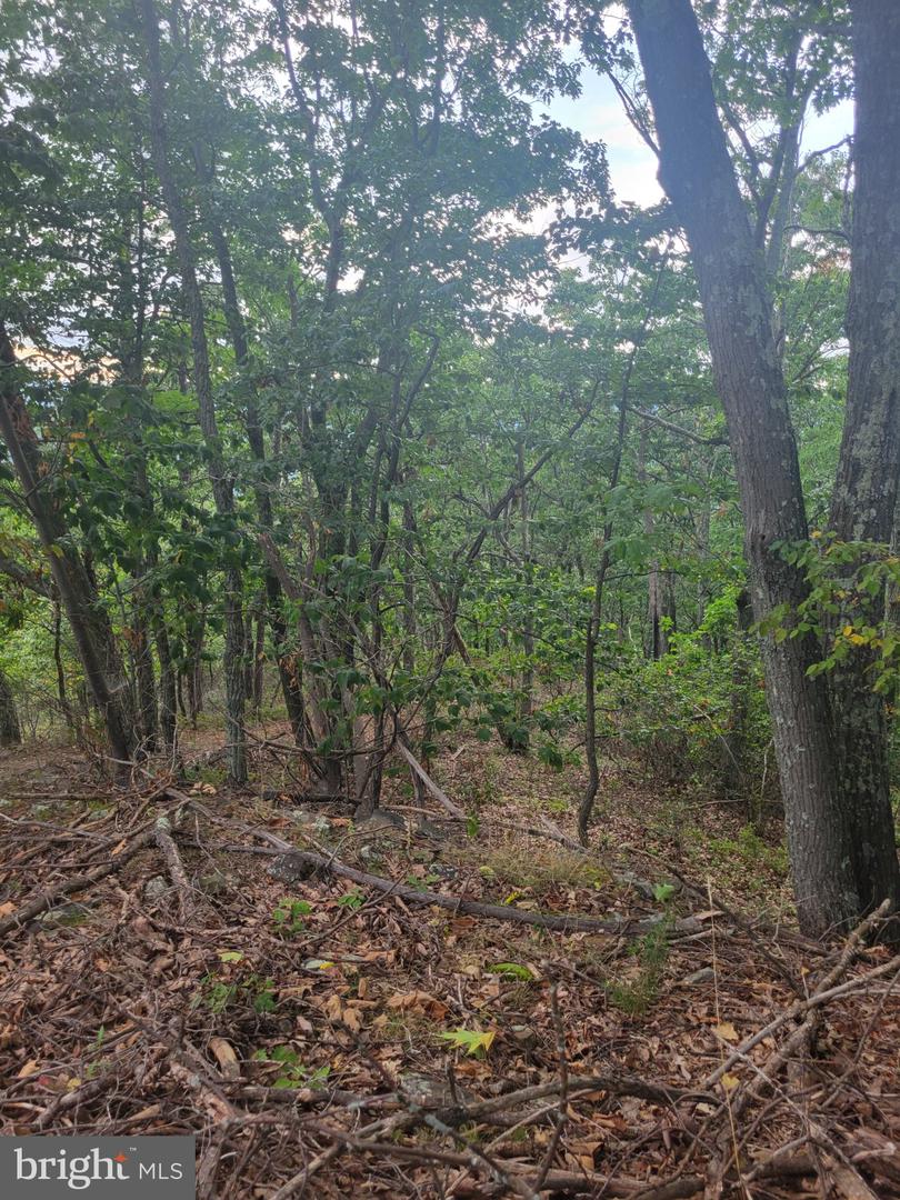 Lot 337 Nathaniel Mt Rd Property Photo 2