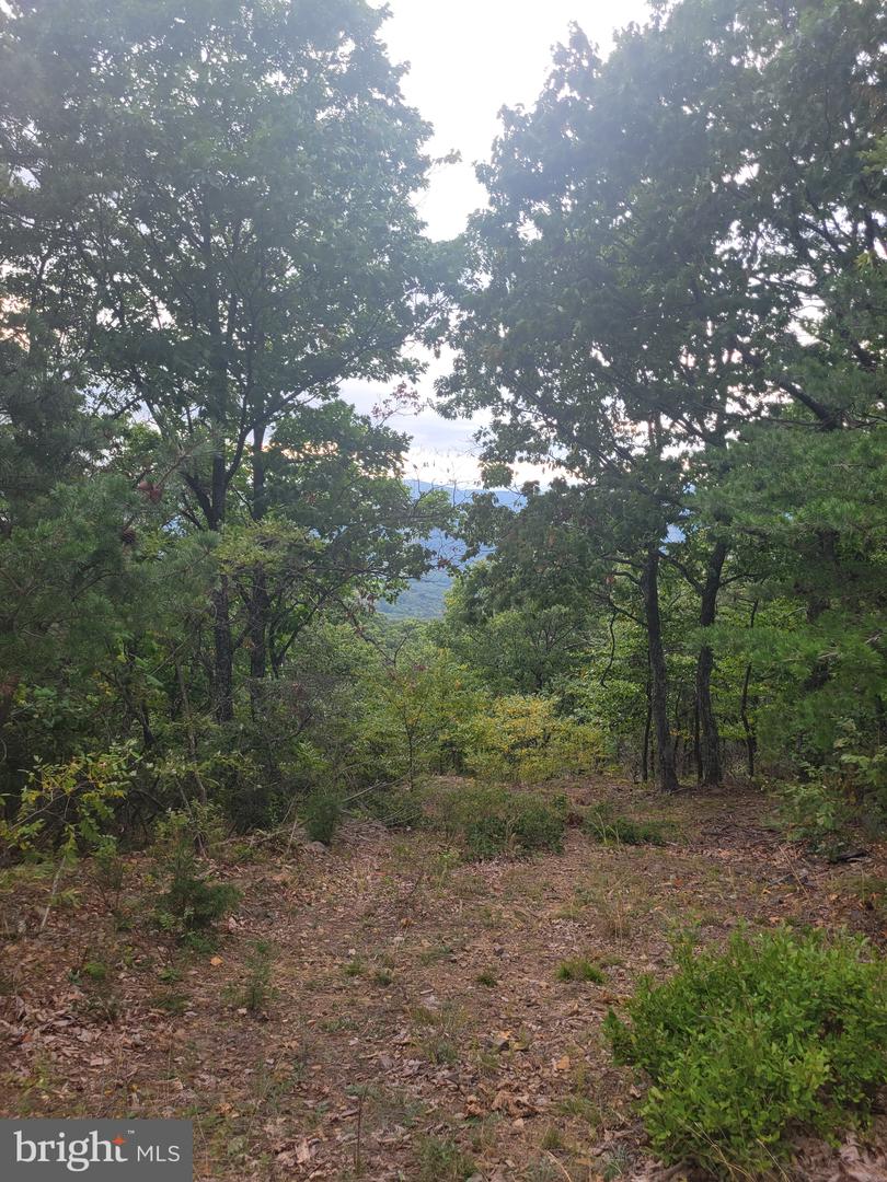 Lot 337 Nathaniel Mt Rd Property Photo 3