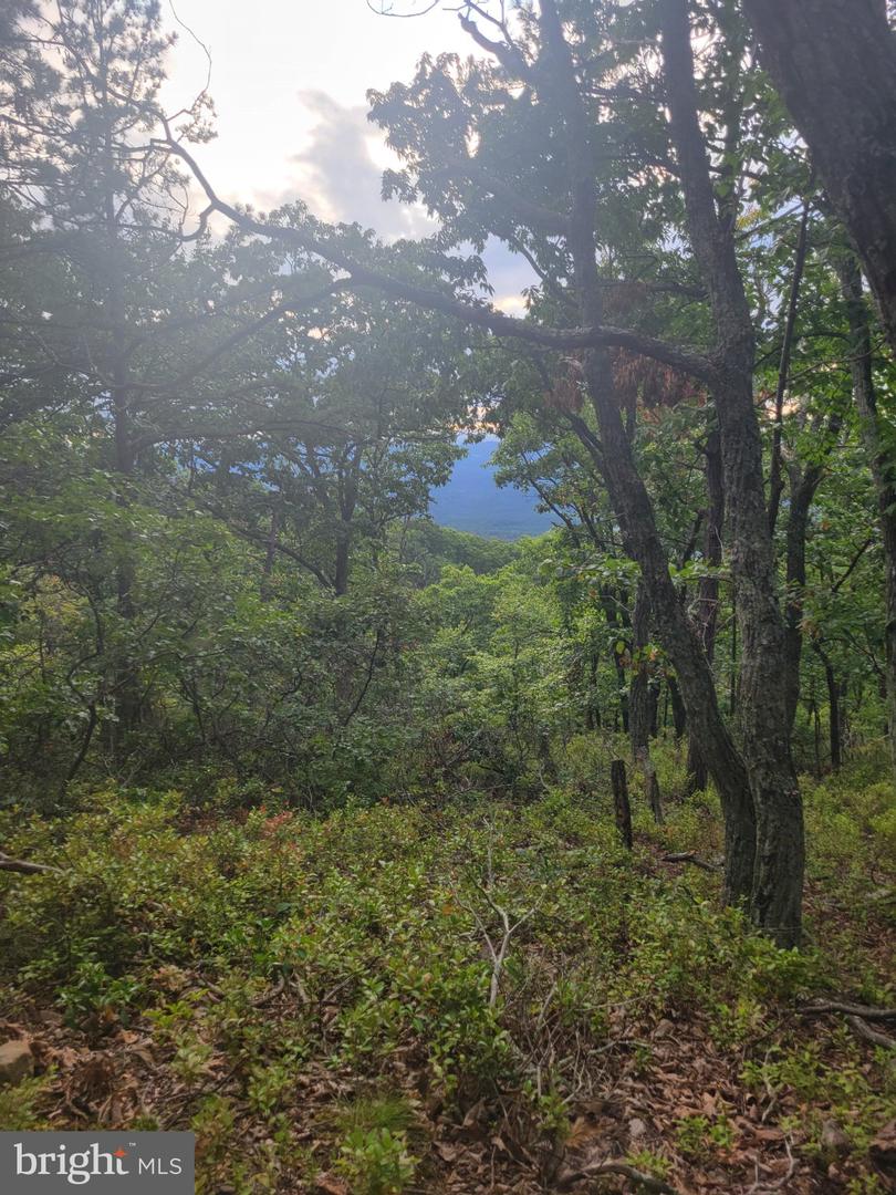 Lot 337 Nathaniel Mt Rd Property Photo 4